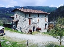 Esterno Capodanno Campo Rosso Civitella di Romagna Foto